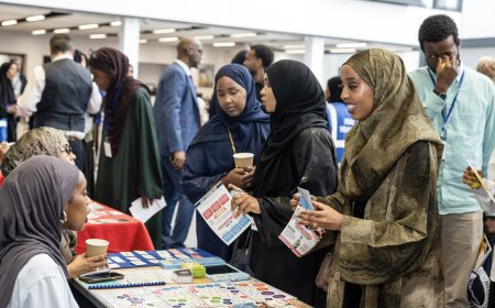 Crossing Borders: Cultural Attitudes Toward Sending and Receiving Money