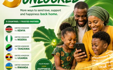Dahabshiil UK: A New Way to Send Money